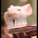 egerke.gif